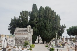 Alexandre Delmar