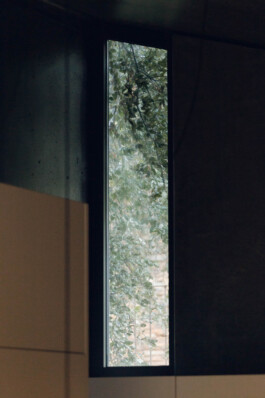 Alexandre Delmar
